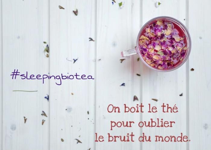 Sleeping Bio Tea - B&B