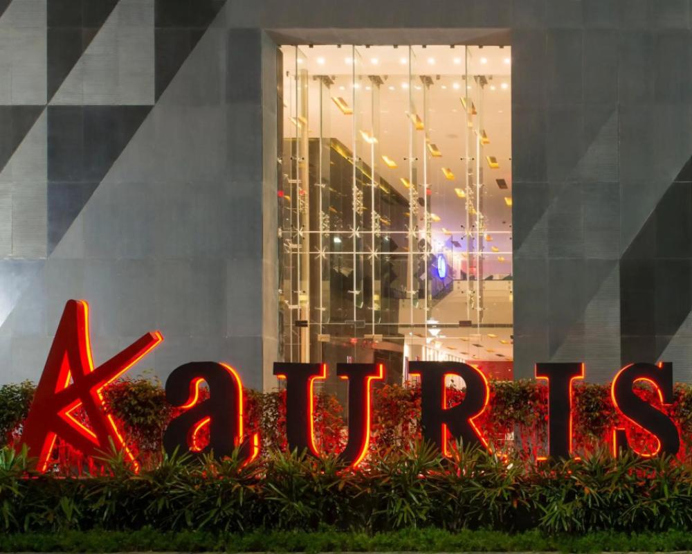 фото Aauris