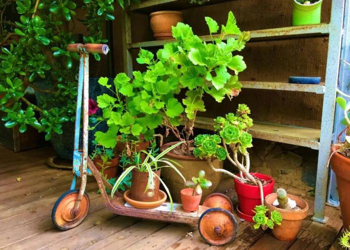 Sutton Spring Art Retreats