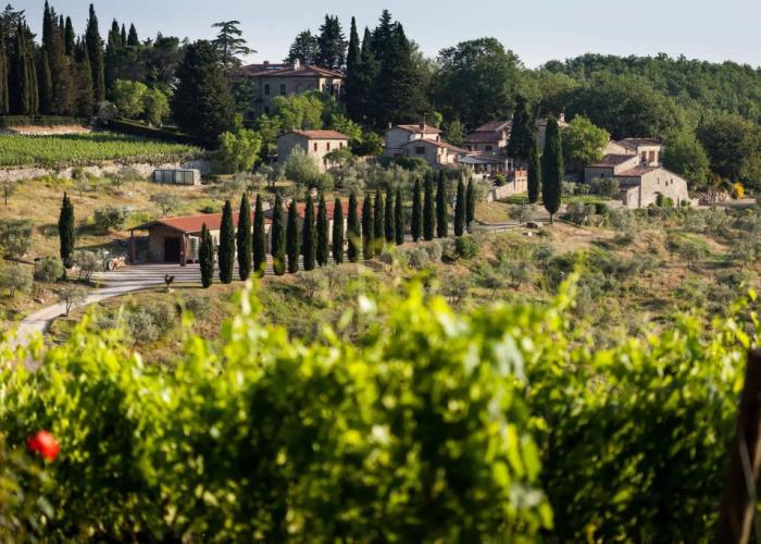Querceto di Castellina