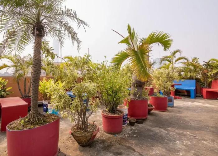 Sunflower Guesthouse
