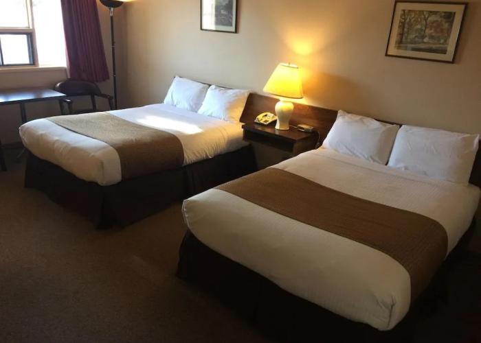 Siesta Motel