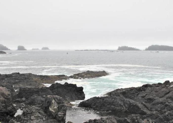 Ucluelet Wildwood Inn