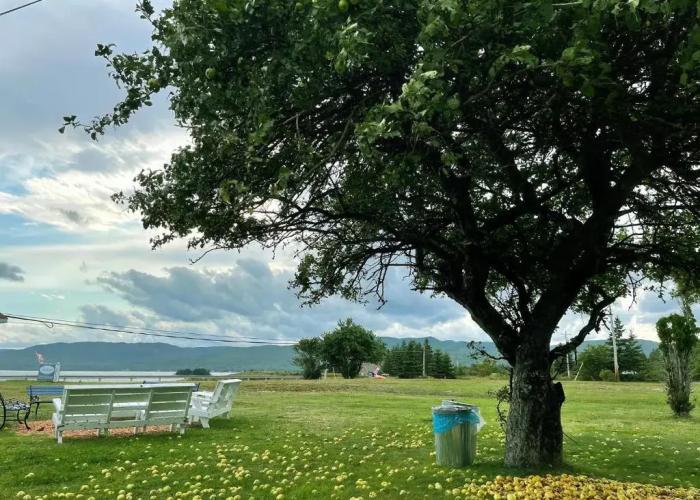 Sea Breeze Cottages & Motel