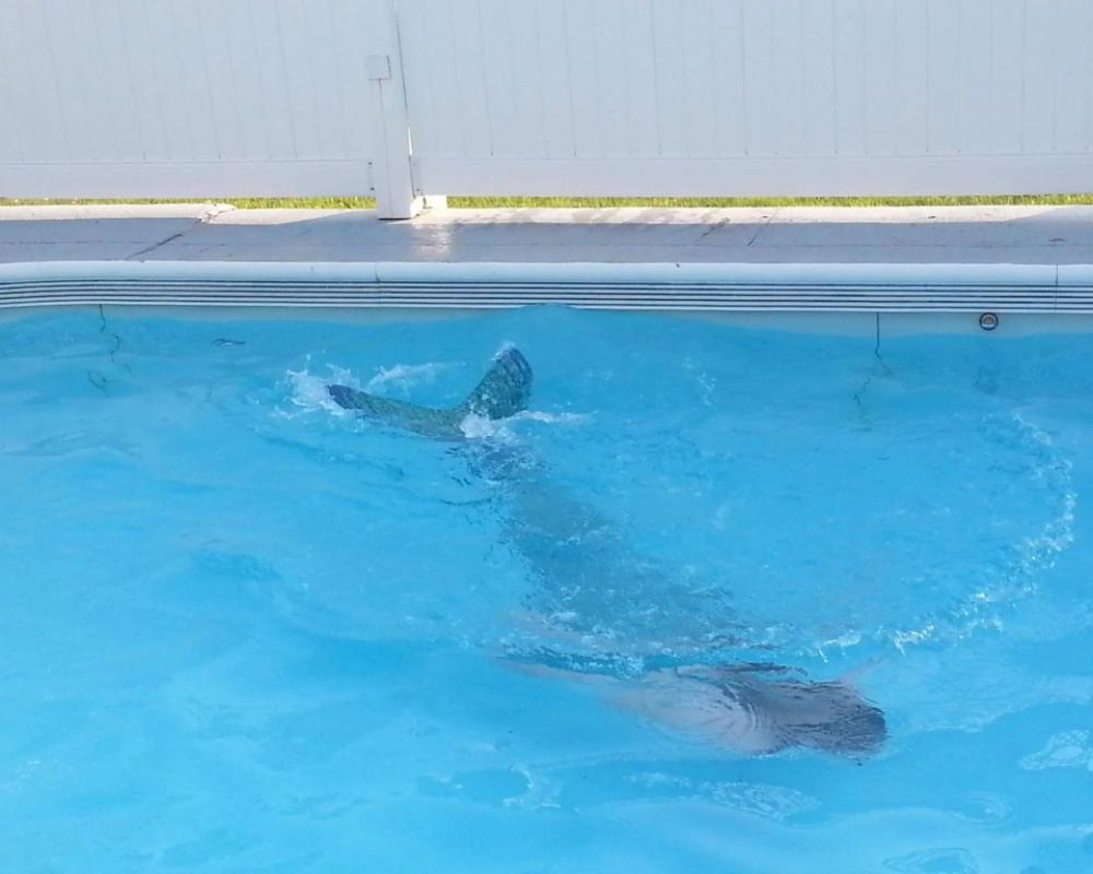 фото MacKenzie's Motel & Cottages