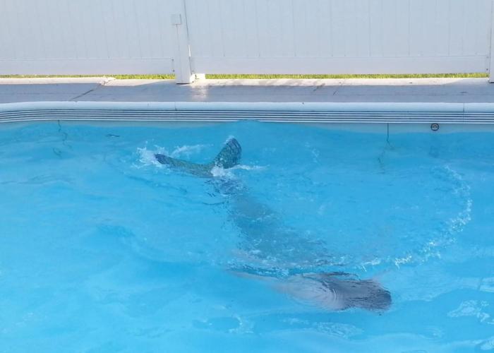 MacKenzie's Motel & Cottages