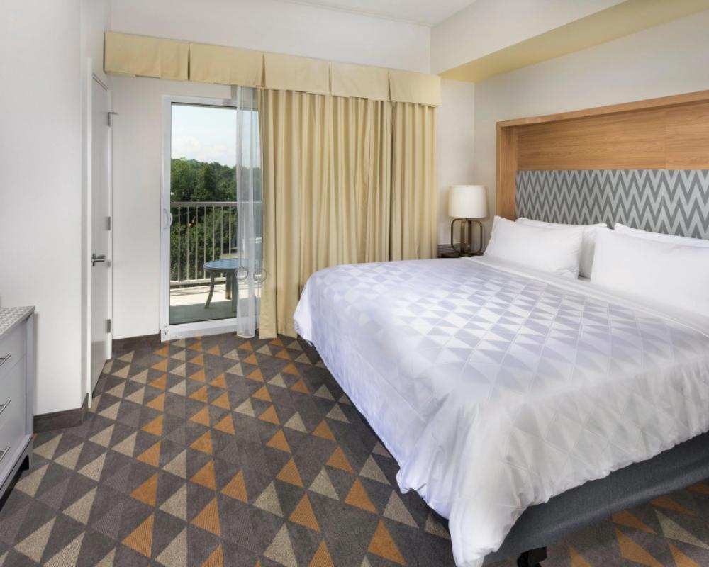 фото Holiday Inn & Suites Arden - Asheville Airport by IHG