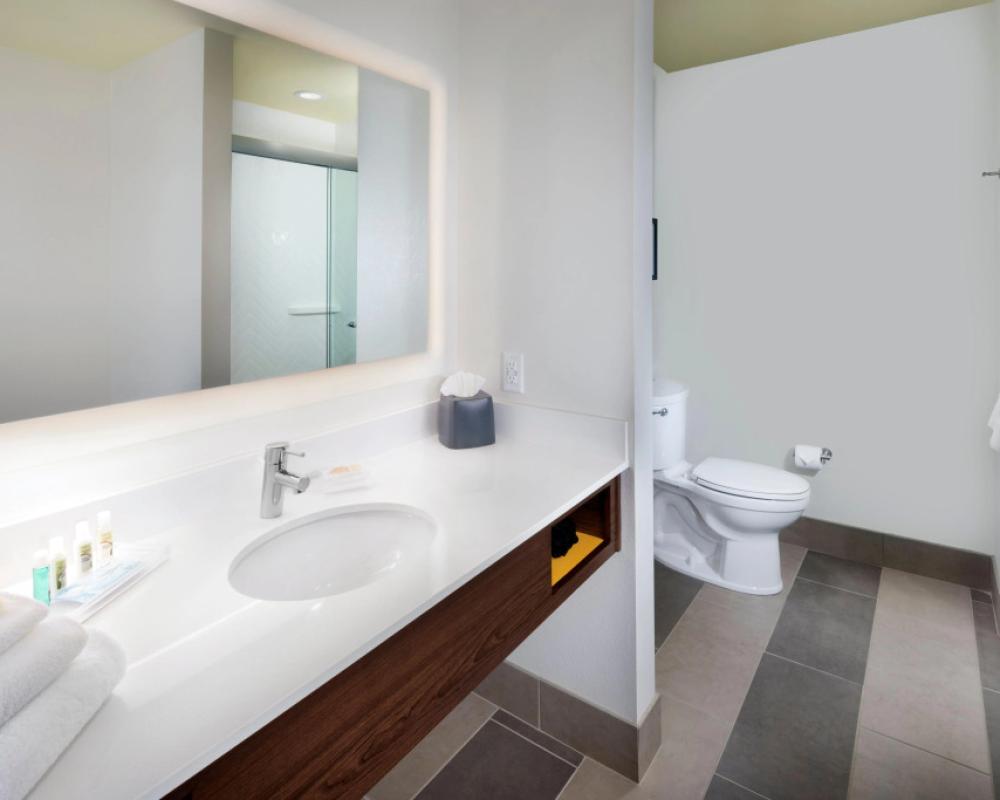 фото Holiday Inn & Suites Arden - Asheville Airport by IHG