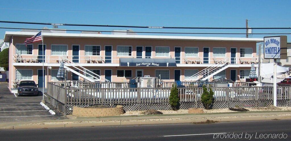 Sea Horse Motel