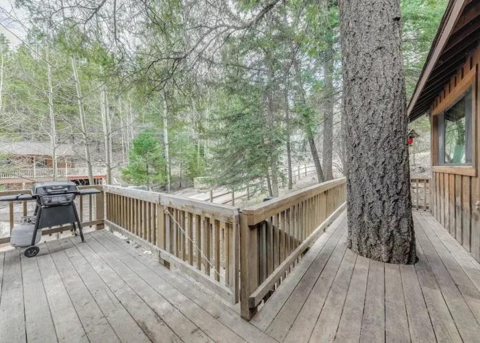 Cloudcroft Cabin Vacation Rental: 3 Mi to Skiing!