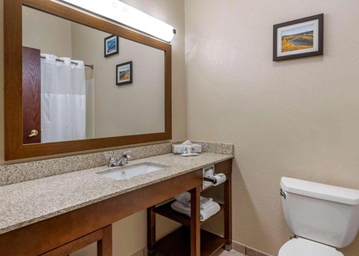 Comfort Inn & Suites St. Louis - O'Fallon