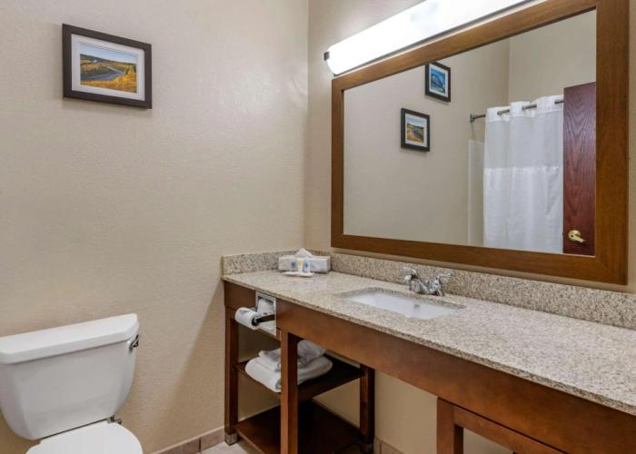 Comfort Inn & Suites St. Louis - O'Fallon