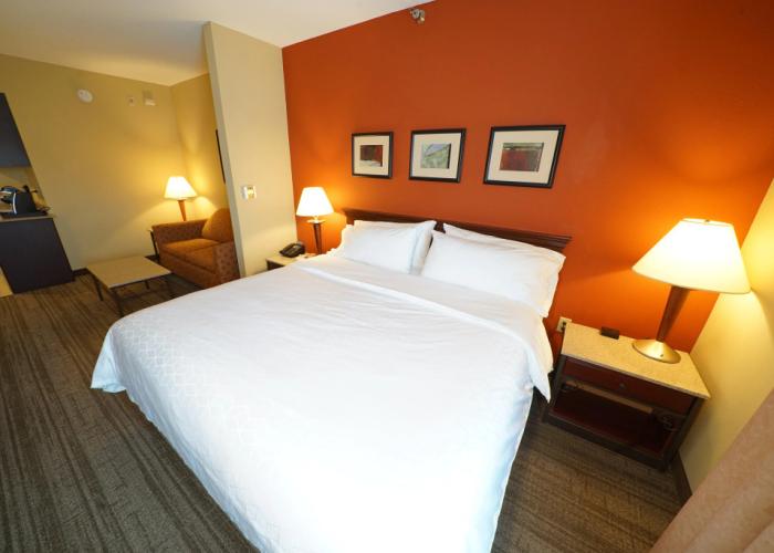 Holiday Inn Express Hotel & Suites Tampa Northwest - Oldsmar by IHG