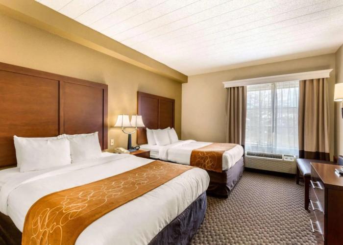 Comfort Suites Columbia Gateway