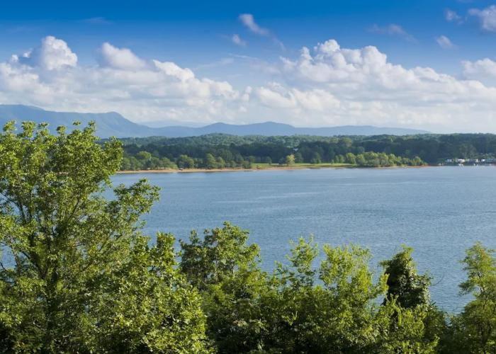 563wonderlnddncb - Wonderland Cove