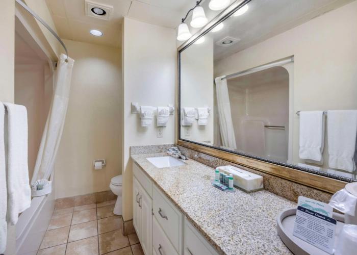 Best Western Spring Hill Inn & Suites