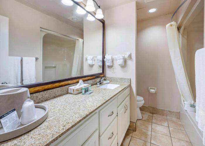 Best Western Spring Hill Inn & Suites