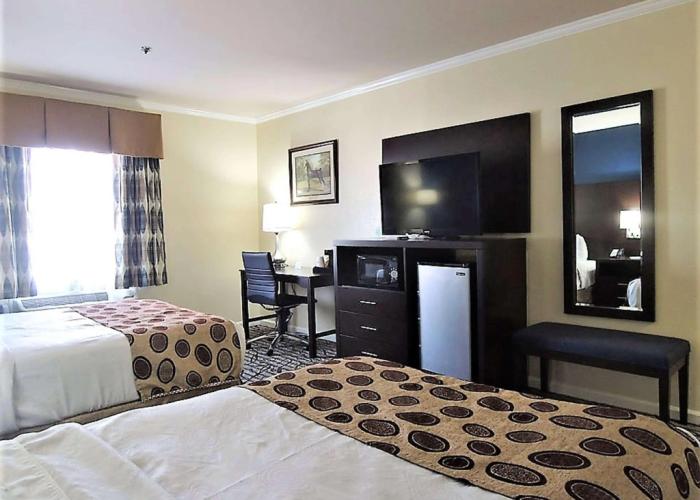 Best Western Spring Hill Inn & Suites