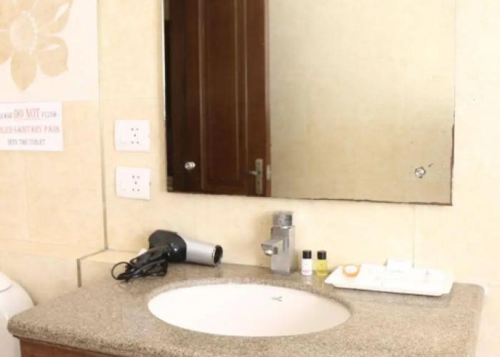 Goodwill Hotel Delhi