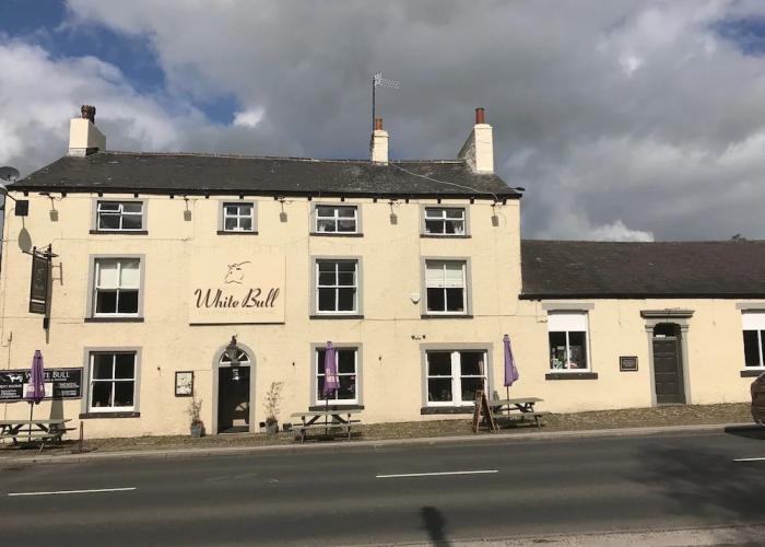 The White Bull