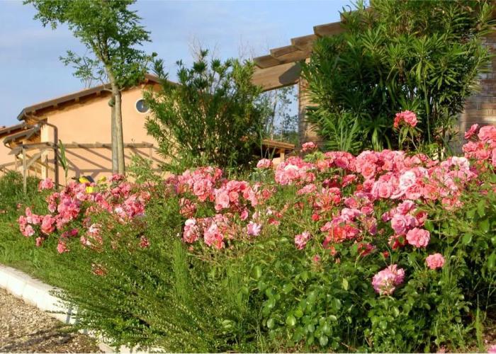 Villaggio Cà Laguna