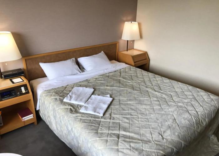 Hotel Grand Terrace Chitose