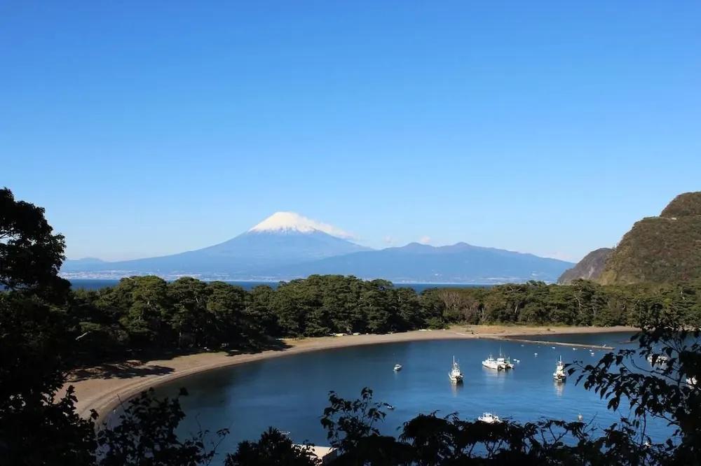 фото Tokiwaya