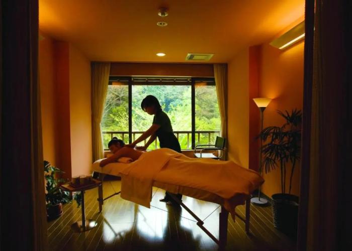 Hotel Seiryu-so