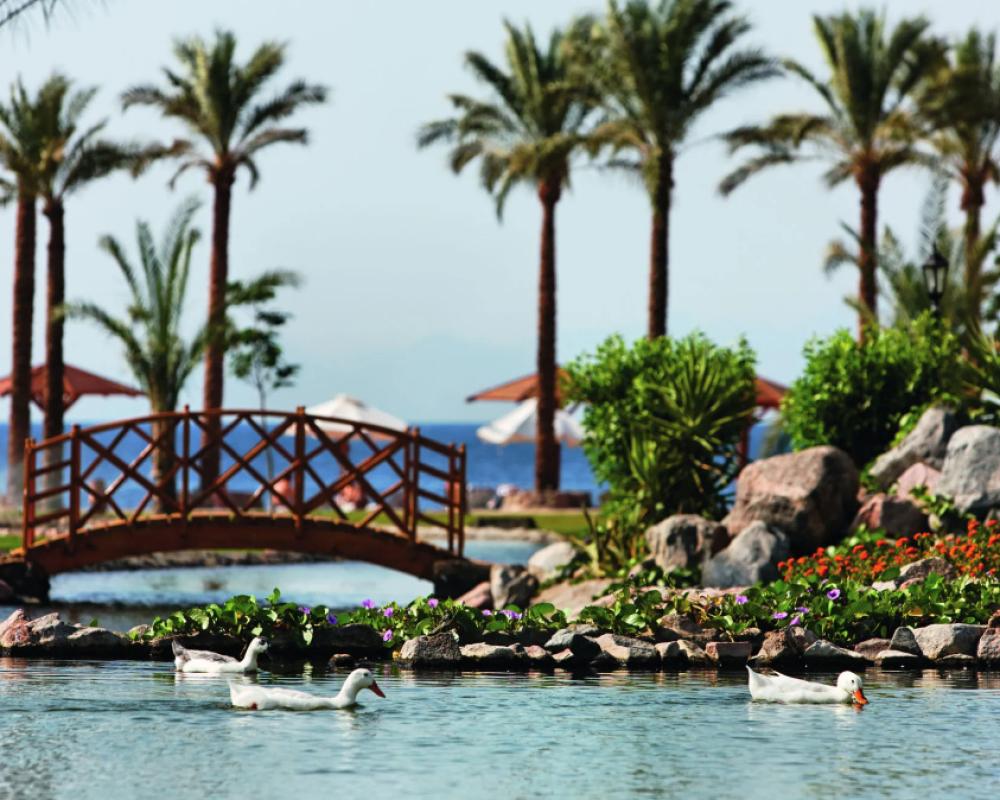 фото Mövenpick Resort Taba