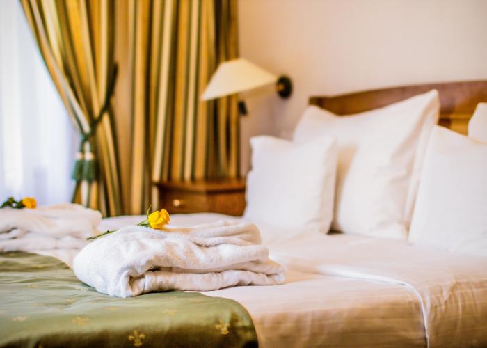 Hotel Dvorak