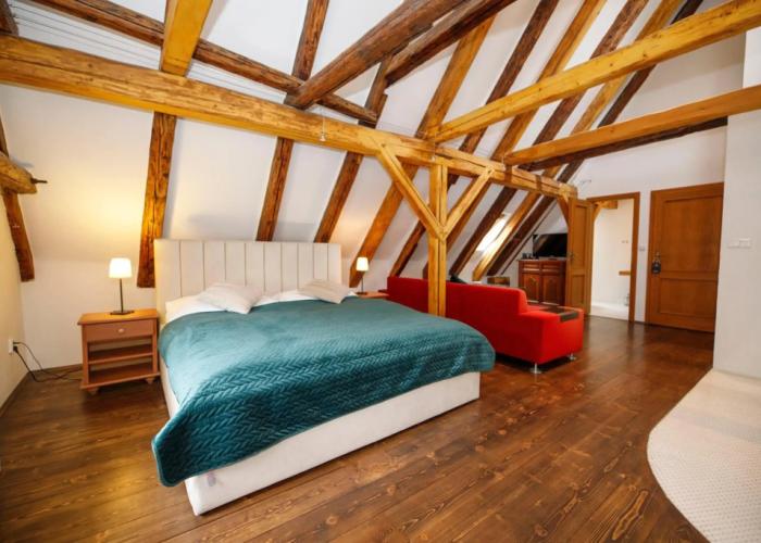 Hotel Svamberský Dum