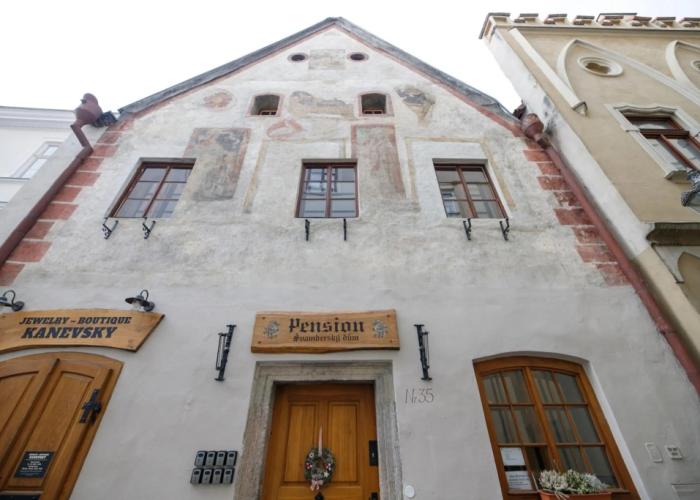 Hotel Svamberský Dum