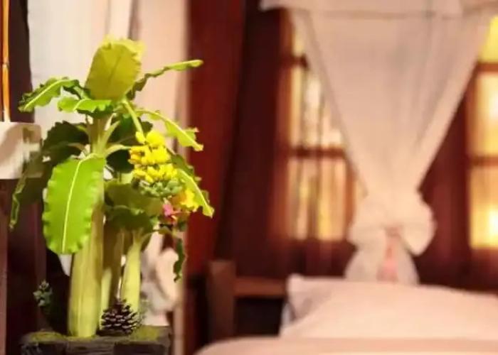Phuengnang Homestay