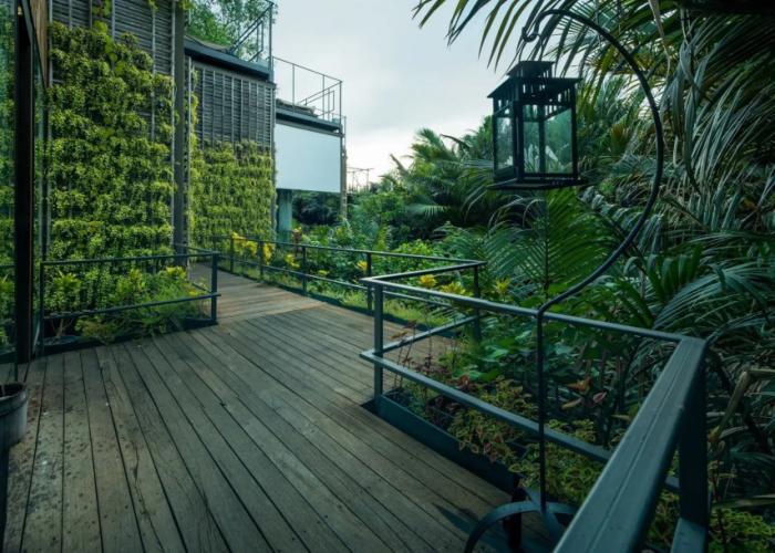 Bangkok Tree House