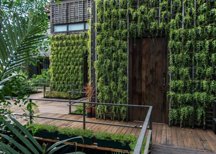 Bangkok Tree House