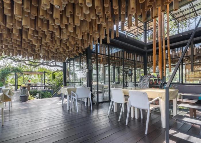 Bangkok Tree House