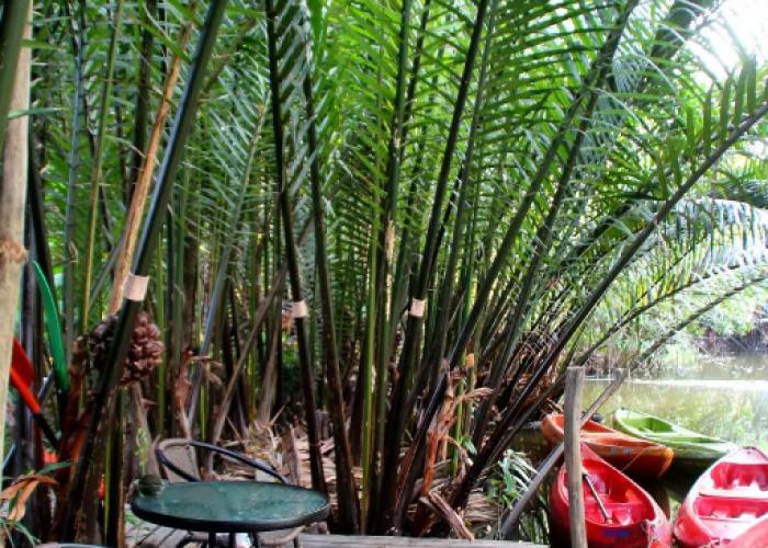 Baan Klangsuan Bang Korbua