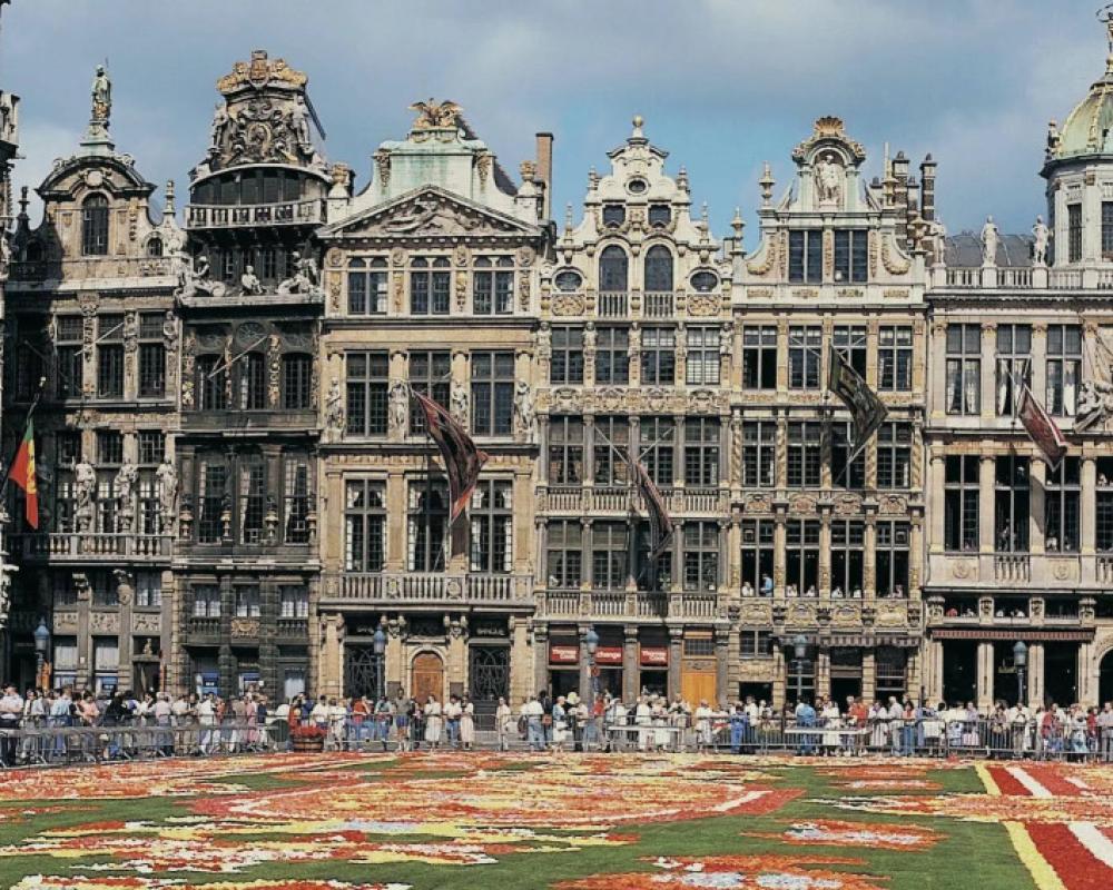 ibis Brussels Groot Bijgaarden