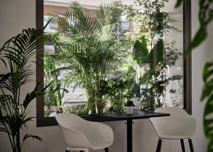Bond Smart Living Suites