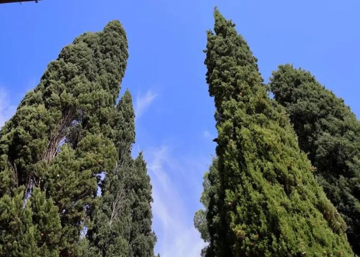 Villa Guarnaschelli