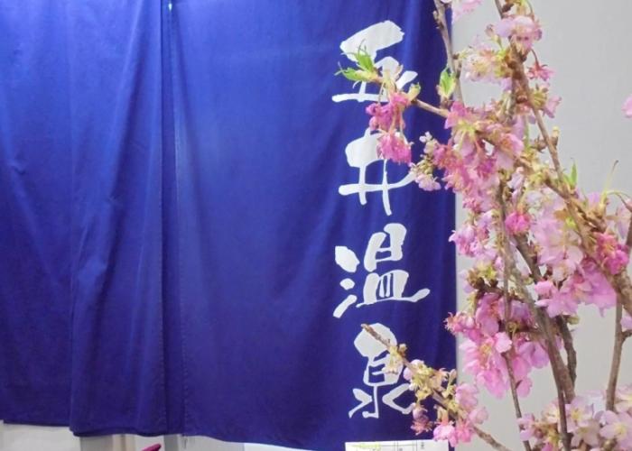 Business Hotel Goi Onsen