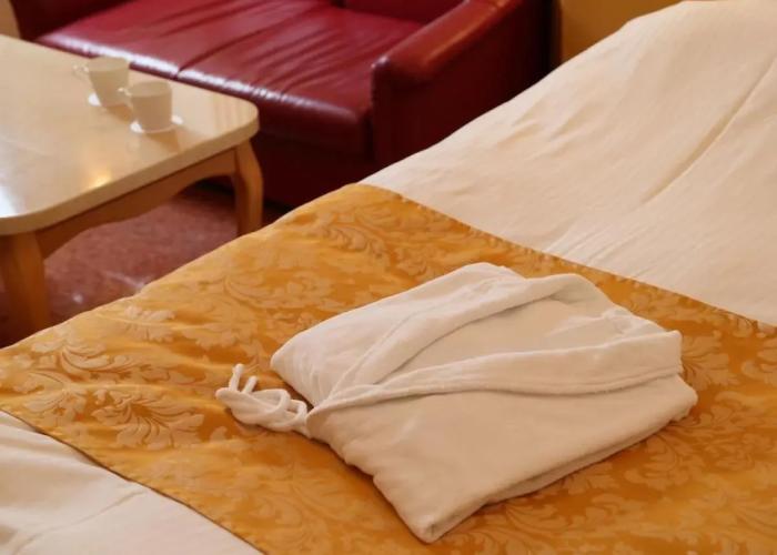 Hotel Fine Garden Toyonaka Itami Airport