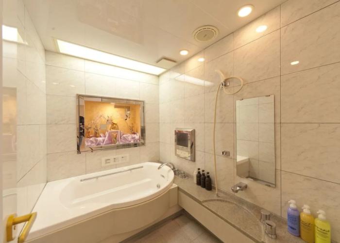 Hotel Fine Shiga Ritto