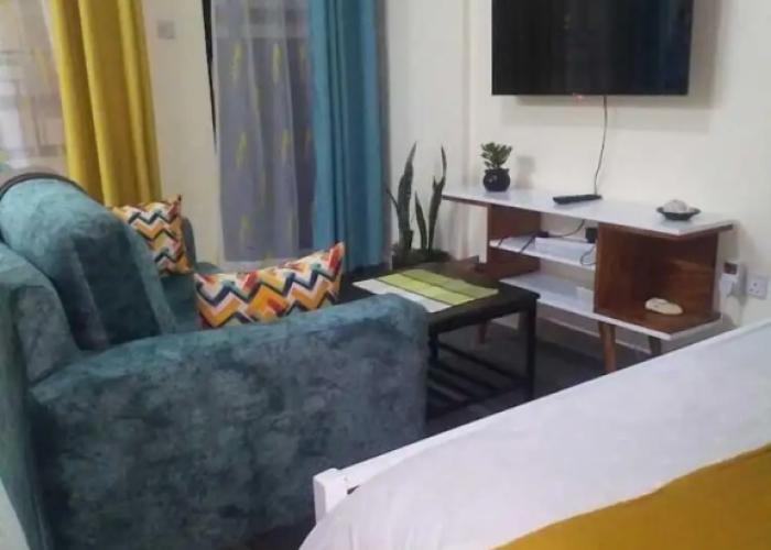 Lux Suites Vet Studio Apartments