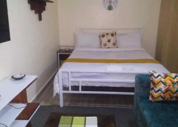Lux Suites Vet Studio Apartments