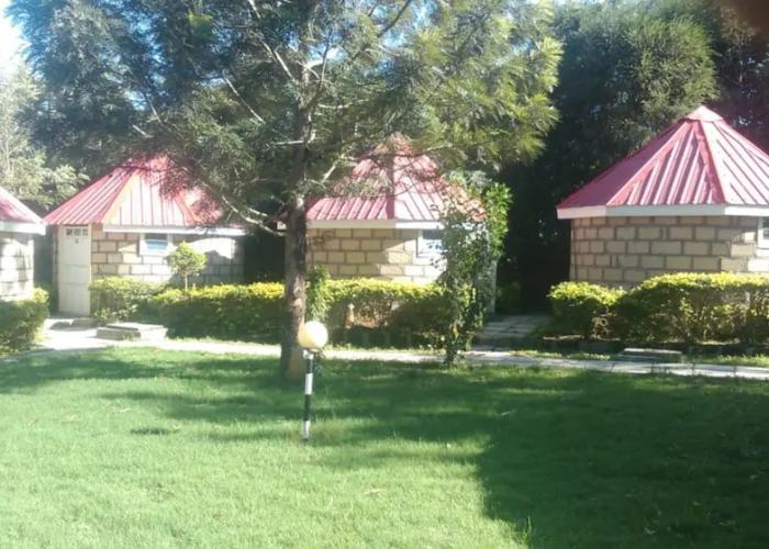 Look Up Guest House