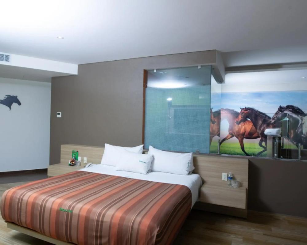 фото Xcoco Inn