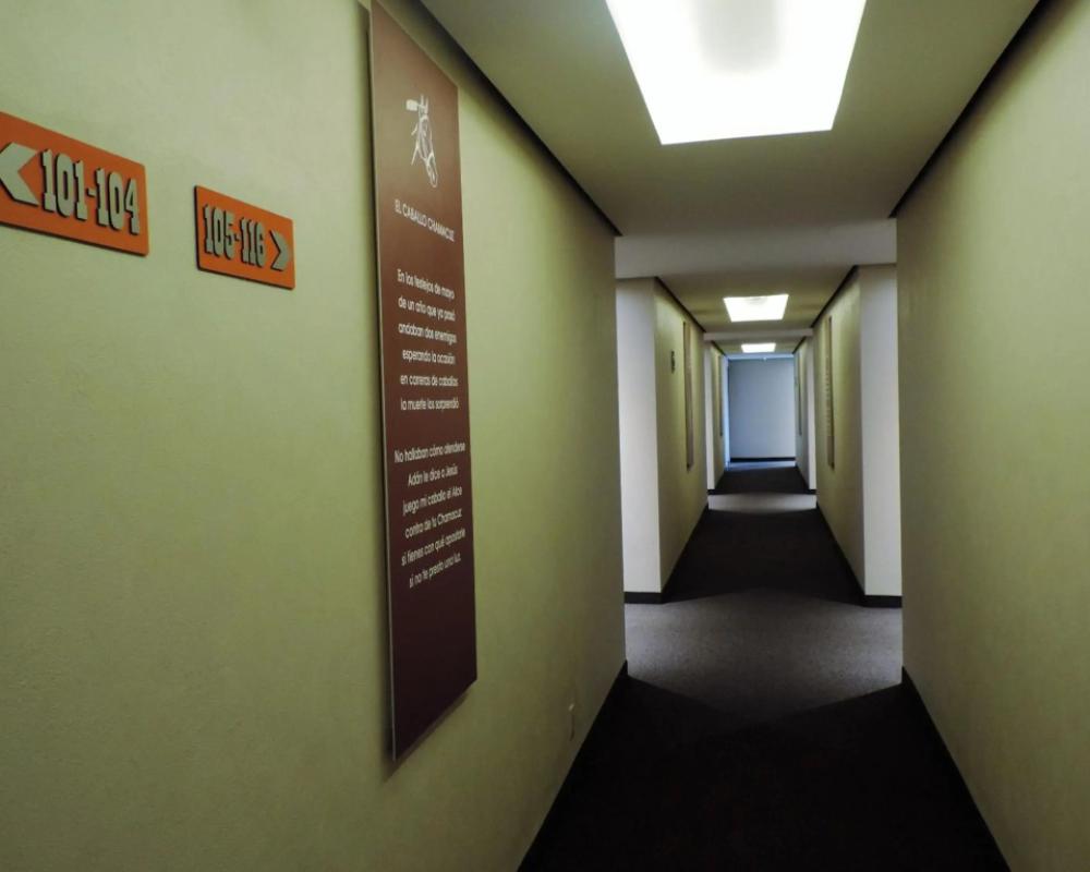 фото Xcoco Inn