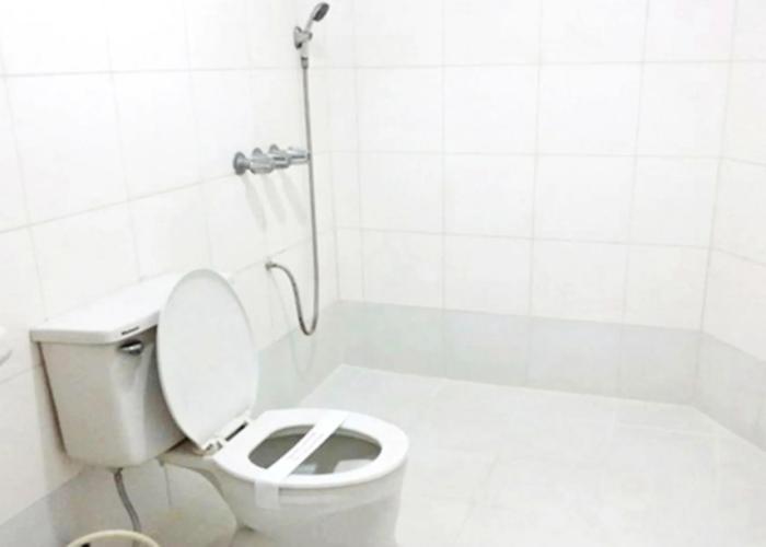 Daisy Drive Inn