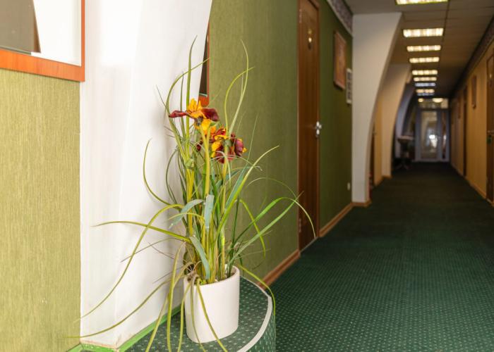 Dom Uchenyih Hotel Khimki